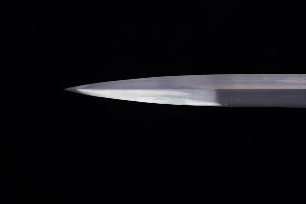 Black Hawthorn Bastard Sword – Spring Steel, Grey Blade – view 3