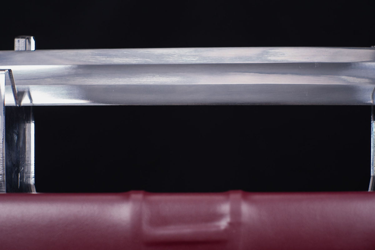 Scarlet Valour Viking Sword – Spring Steel, One-handed – view 7