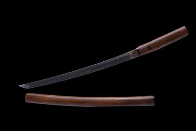 Hayashi 林 Wakizashi, T10 Steel, Dragon-Nail Hamon – view 1